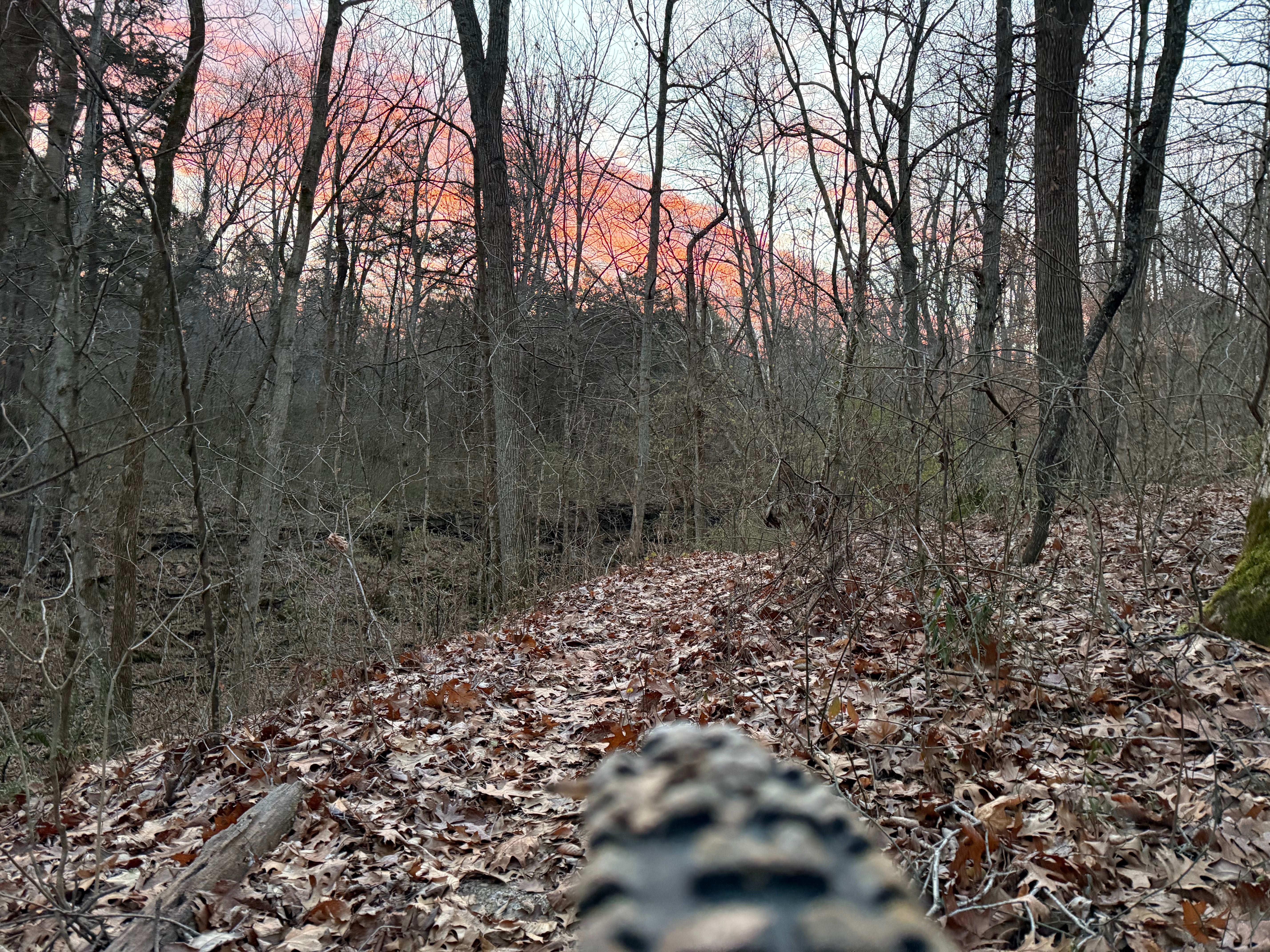 MTB Tire Sunrise Fall