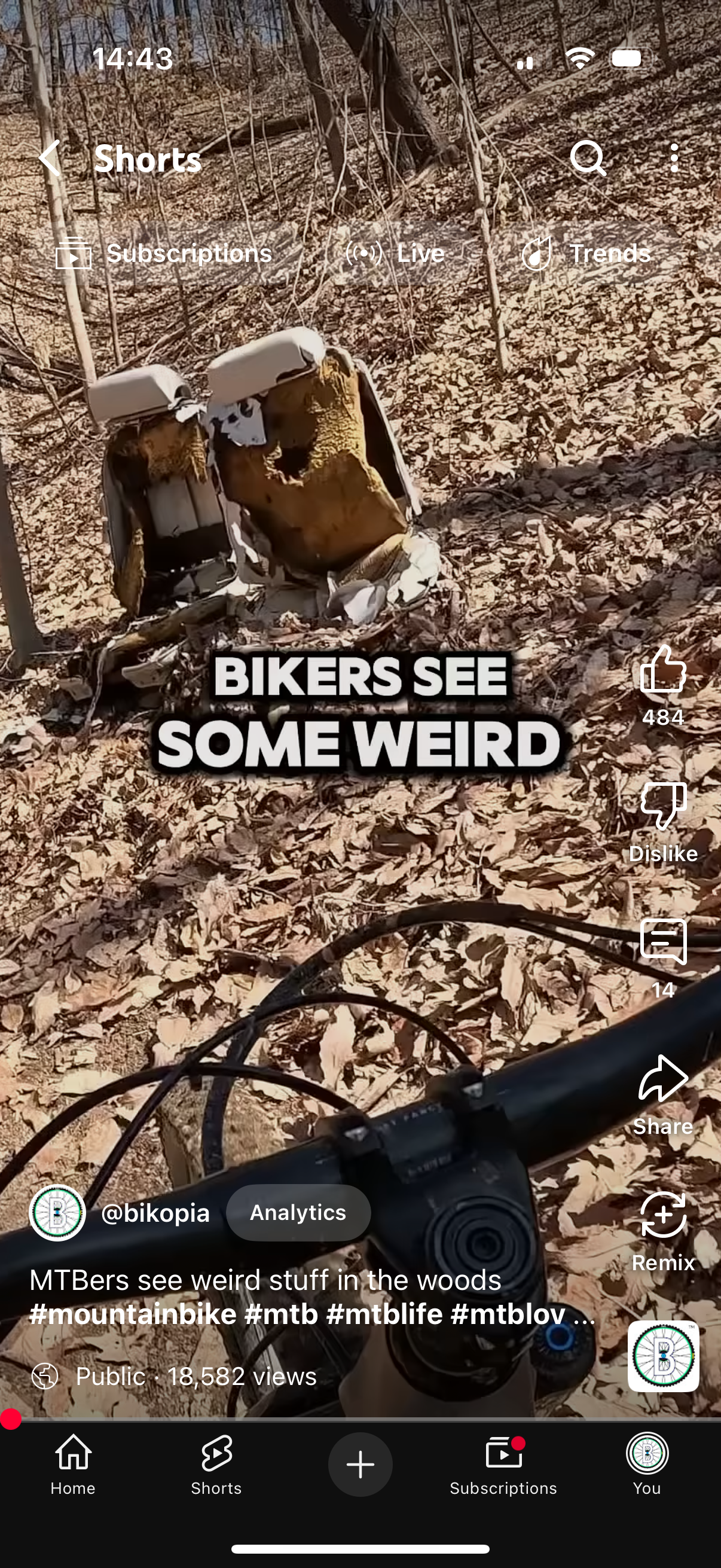 MTBers See Weird Stuff