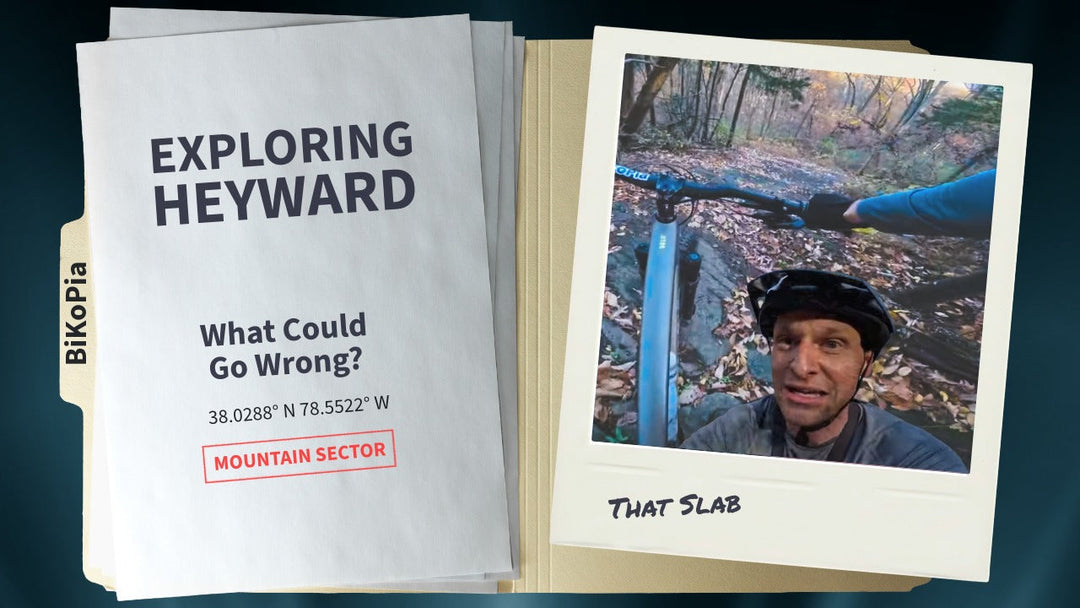 Road Trip Break: Mountain Biking the Heyward Community Forrest Trails