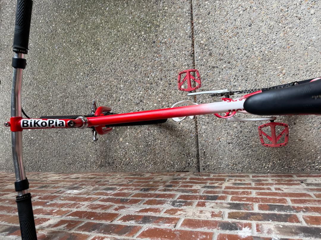 1987 Fisher Montare Restomod Mountain Bike