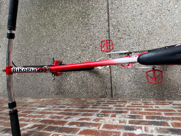 1987 Fisher Montare Restomod Mountain Bike