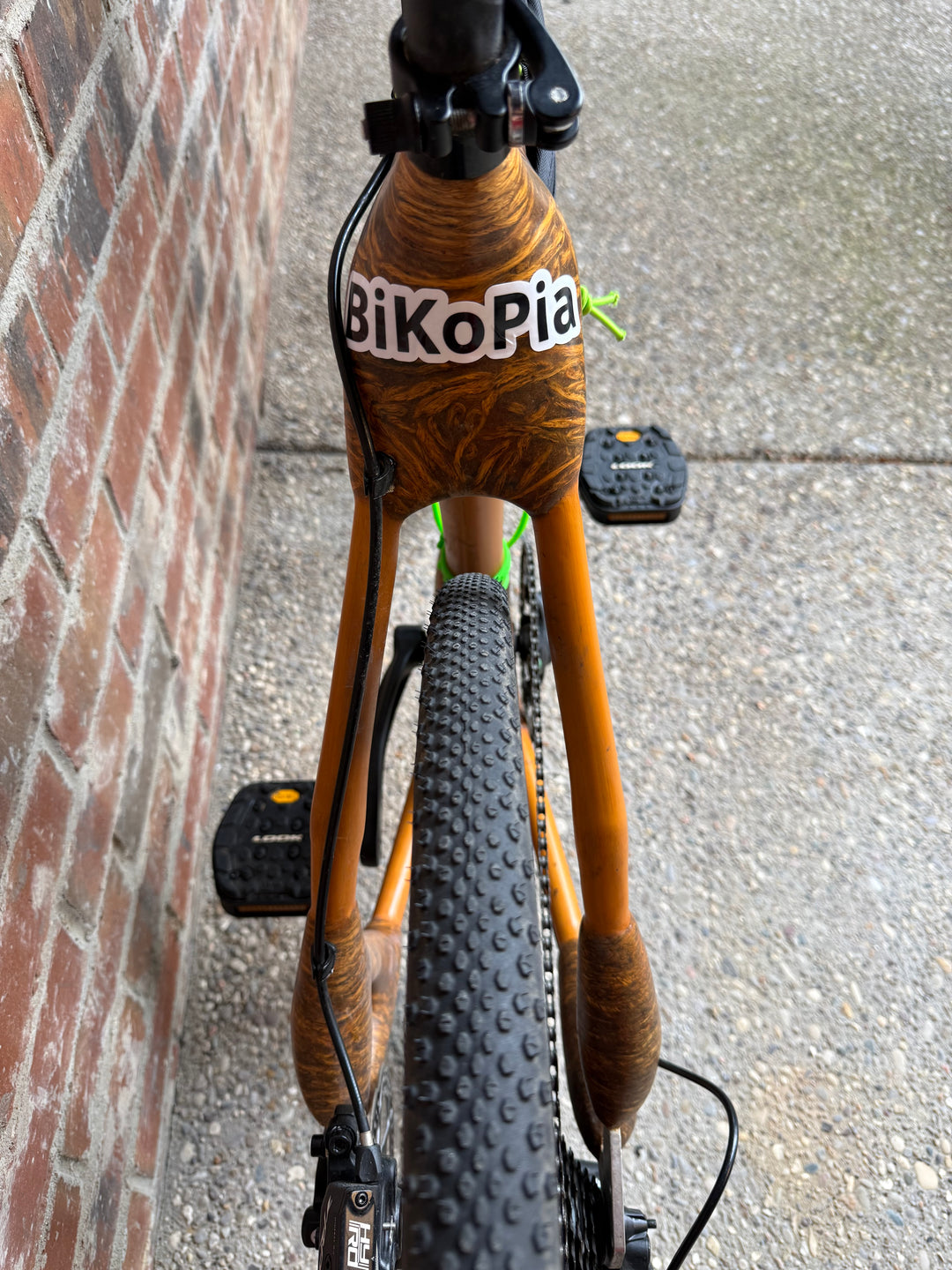 Pampro Agona Brown Modified Bamboo Gravel Bike